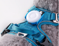 Lumière LED rechargeable USB pour chien, 3 modes