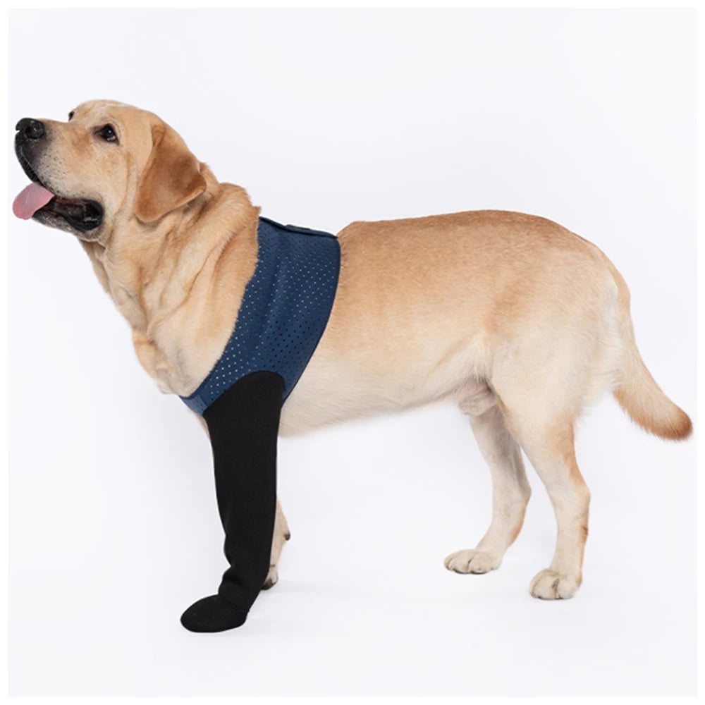 Chaussettes Protéctrices pour Chien – Anti-Léchage, Antidérapantes, M à 3XL