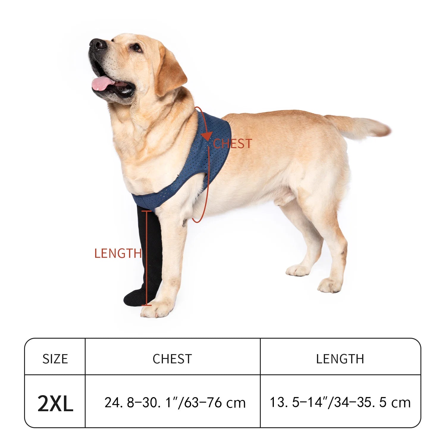 Chaussettes Protéctrices pour Chien – Anti-Léchage, Antidérapantes, M à 3XL
