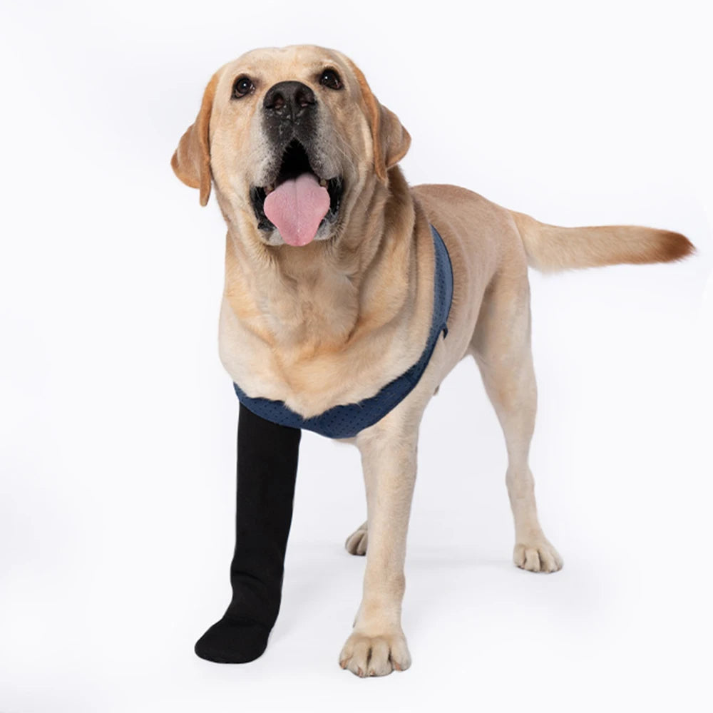 Chaussettes Protéctrices pour Chien – Anti-Léchage, Antidérapantes, M à 3XL