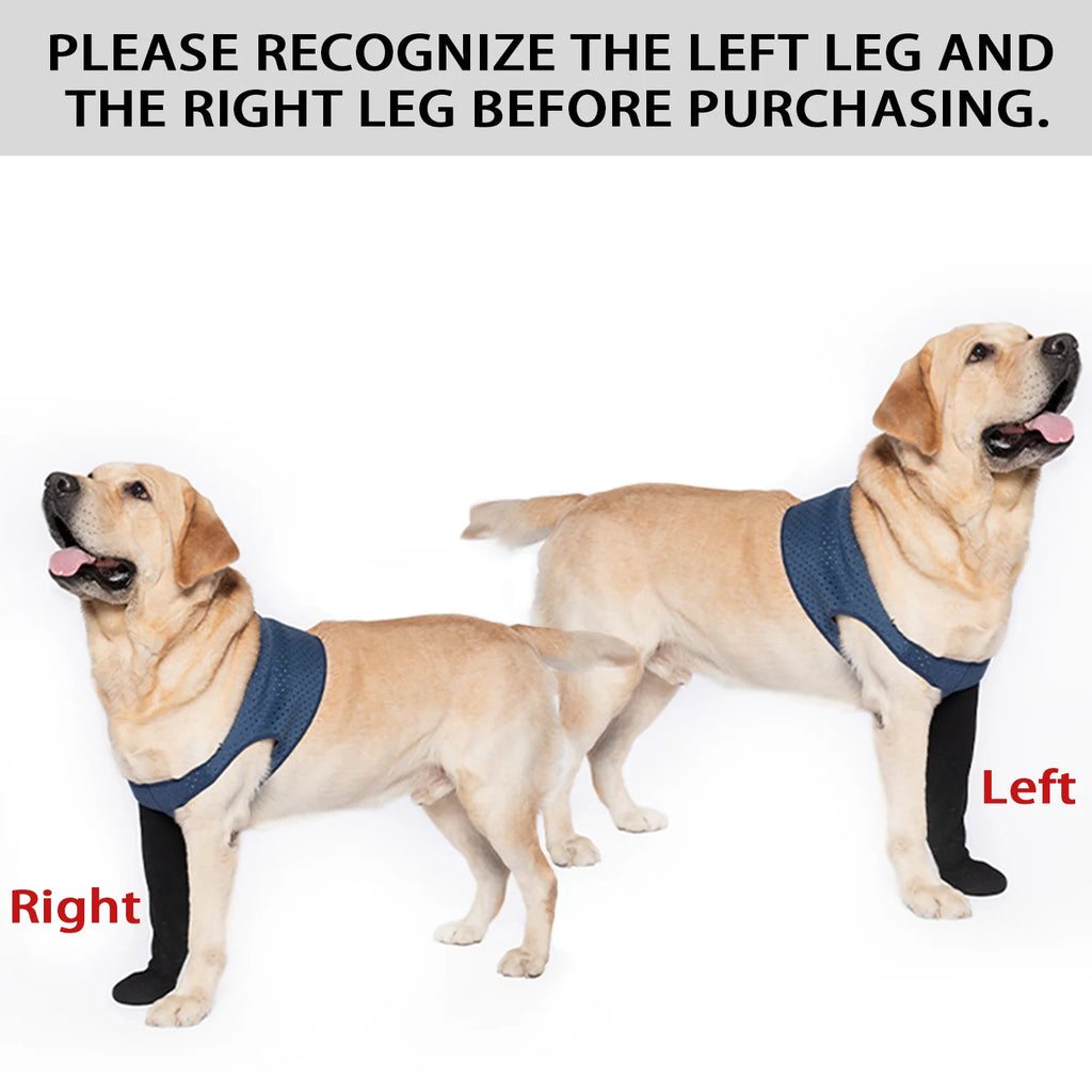 Chaussettes Protéctrices pour Chien – Anti-Léchage, Antidérapantes, M à 3XL