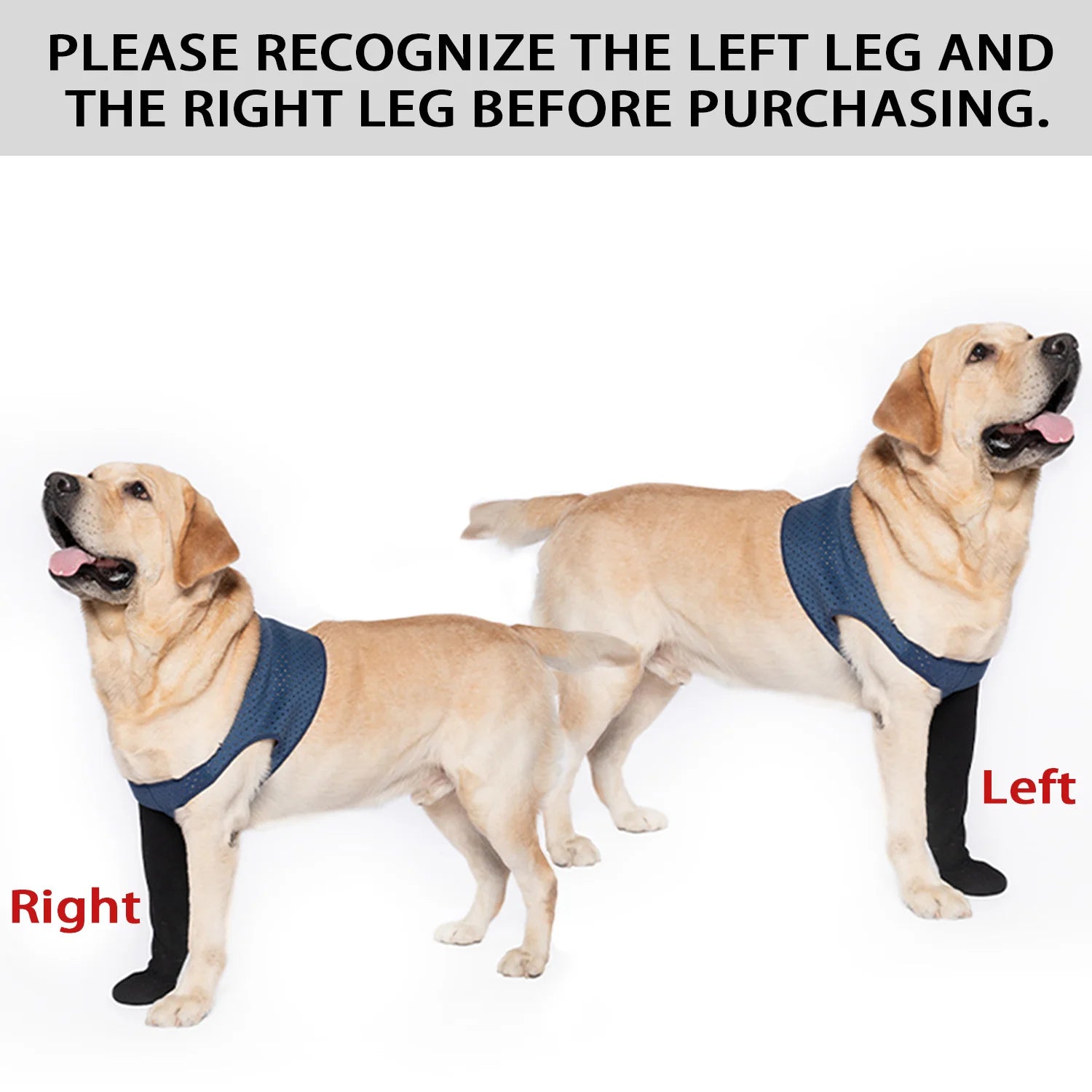 Chaussettes Protéctrices pour Chien – Anti-Léchage, Antidérapantes, M à 3XL