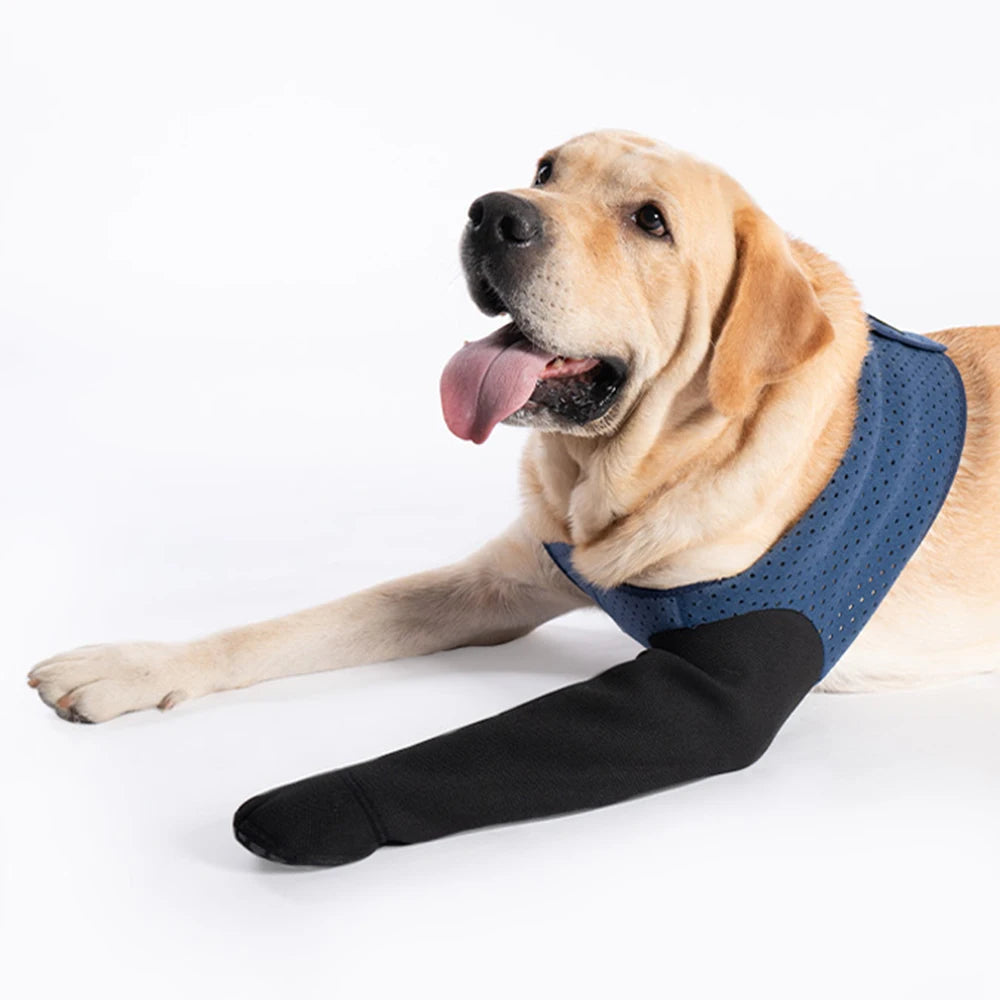 Chaussettes Protéctrices pour Chien – Anti-Léchage, Antidérapantes, M à 3XL