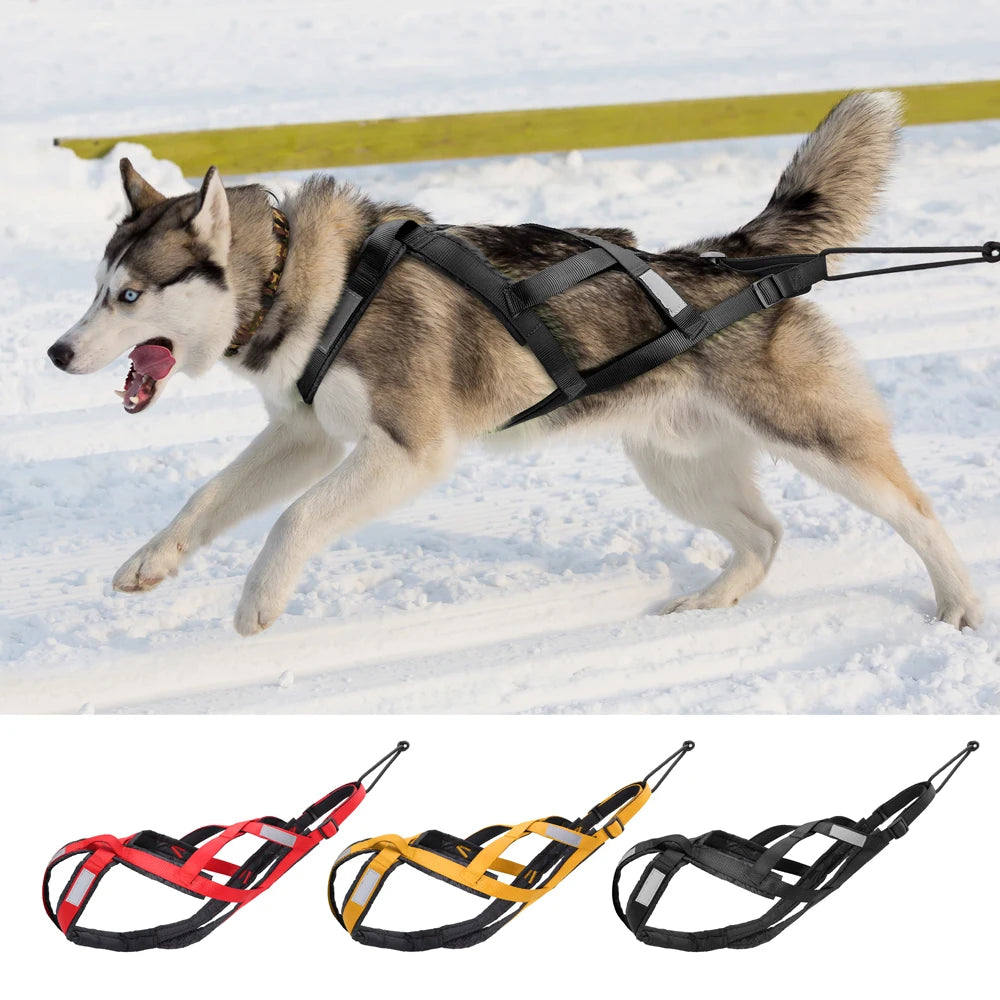 Harnais de Traîneau Réfléchissant pour Chien – Skijoring & Traction, Tour de Poitrine 55–115 cm