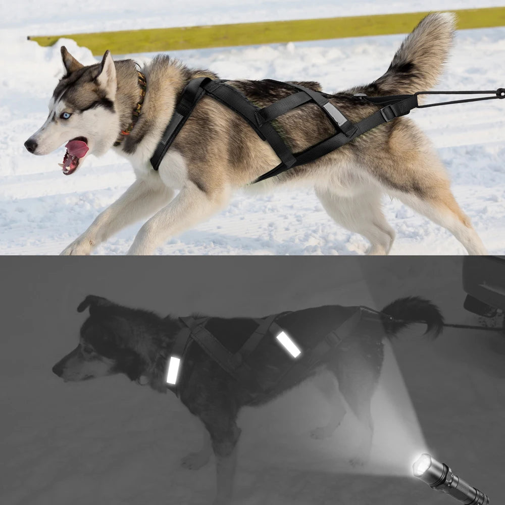 Harnais de Traîneau Réfléchissant pour Chien – Skijoring & Traction, Tour de Poitrine 55–115 cm