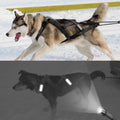 Harnais de Traîneau Réfléchissant pour Chien – Skijoring & Traction, Tour de Poitrine 55–115 cm