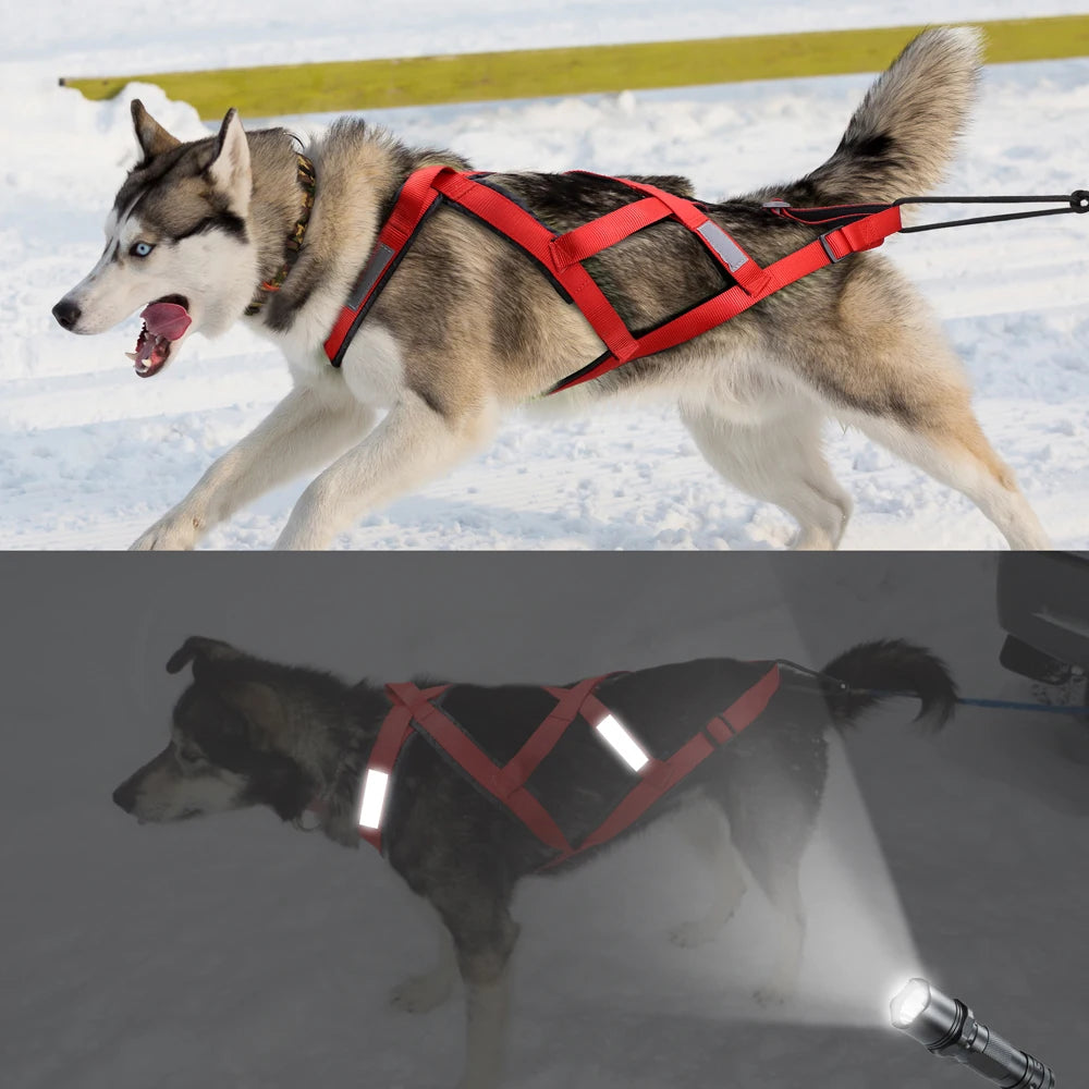 Harnais de Traîneau Réfléchissant pour Chien – Skijoring & Traction, Tour de Poitrine 55–115 cm