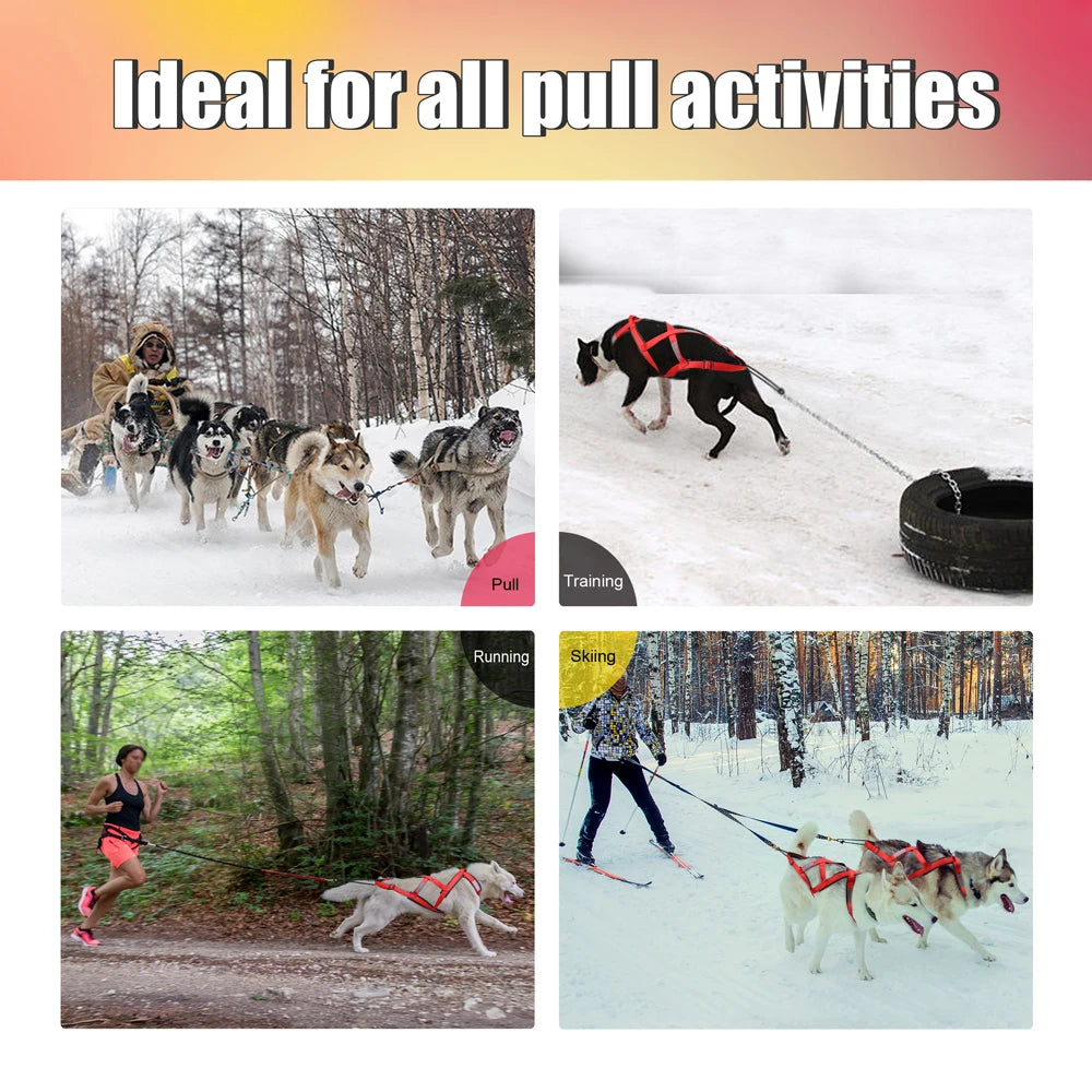 Harnais de Traîneau Réfléchissant pour Chien – Skijoring & Traction, Tour de Poitrine 55–115 cm