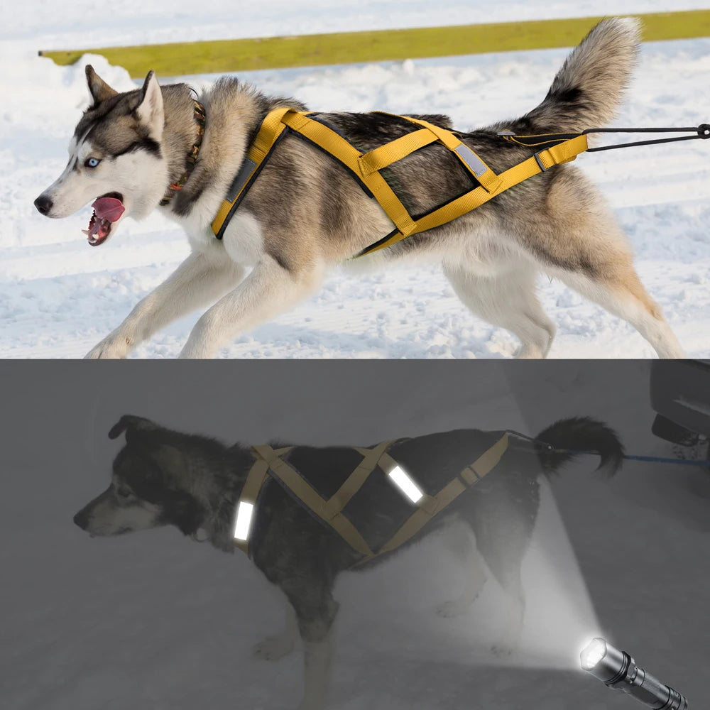 Harnais de Traîneau Réfléchissant pour Chien – Skijoring & Traction, Tour de Poitrine 55–115 cm