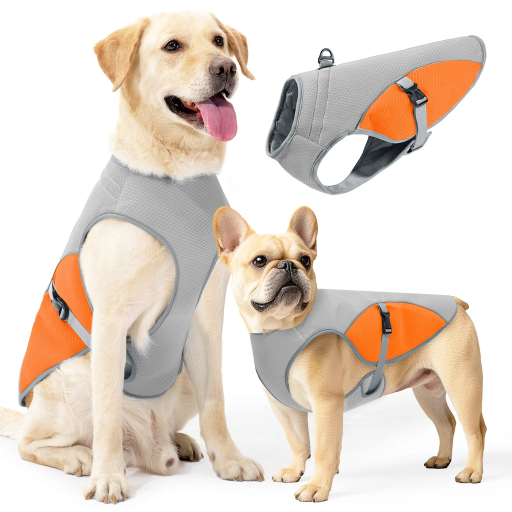Gilet de Refroidissement pour Chien – Harnais Veste Fraîche avec Bouteille d'Eau Portable