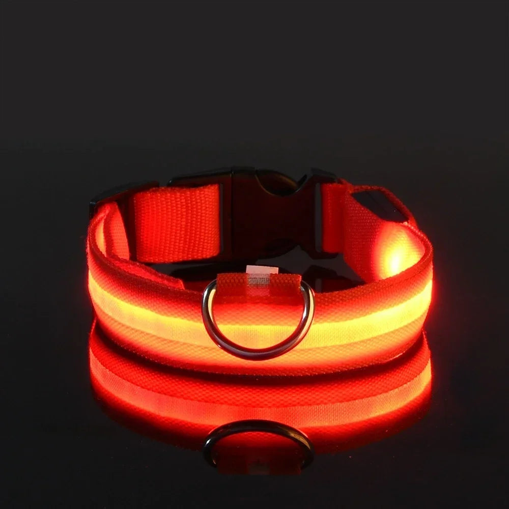 Collier LED Lumineux pour Chien – Sécurité Nocturne, Nylon, 5 Tailles