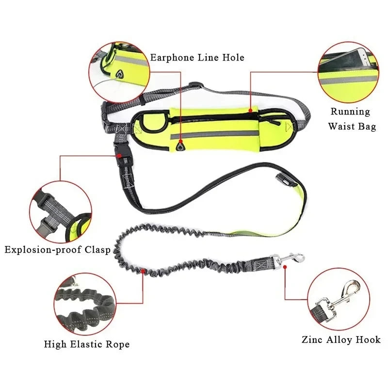 Laisse Mains Libres pour Chien – Ceinture Élastique Réfléchissante, Nylon