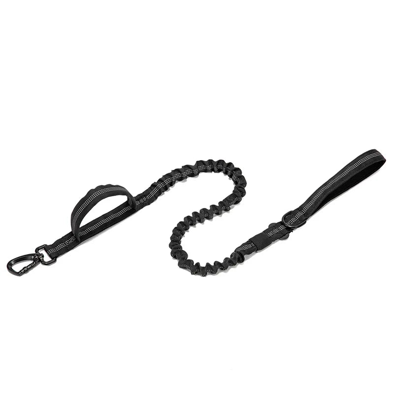 Ensemble Laisse & Collier Tactique pour Chien – Nylon Réfléchissant
