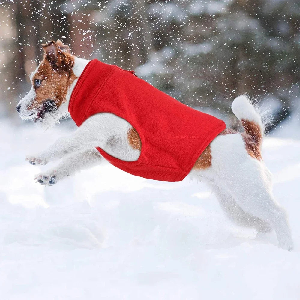 Gilet polaire d'hiver pour chien – Petites & Moyennes races