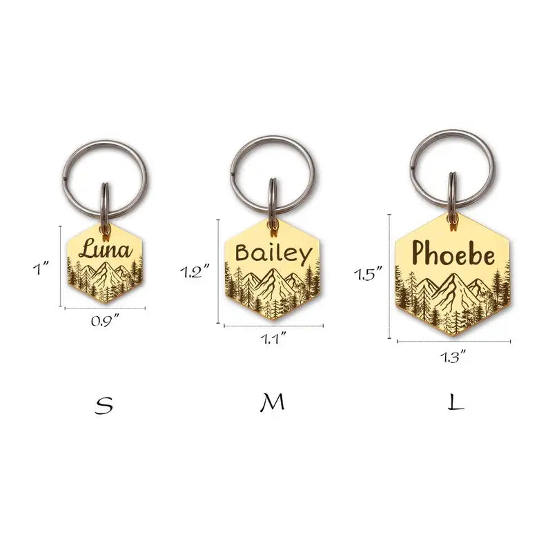 Médaille ID hexagonale personnalisée pour chien