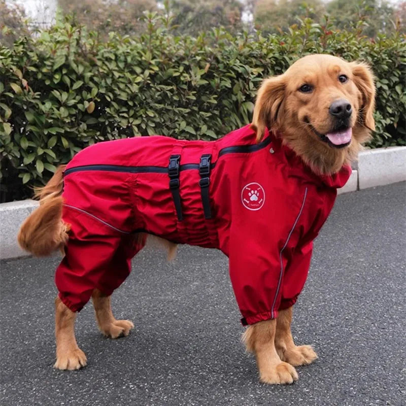 Manteau de pluie réfléchissant pour chien
