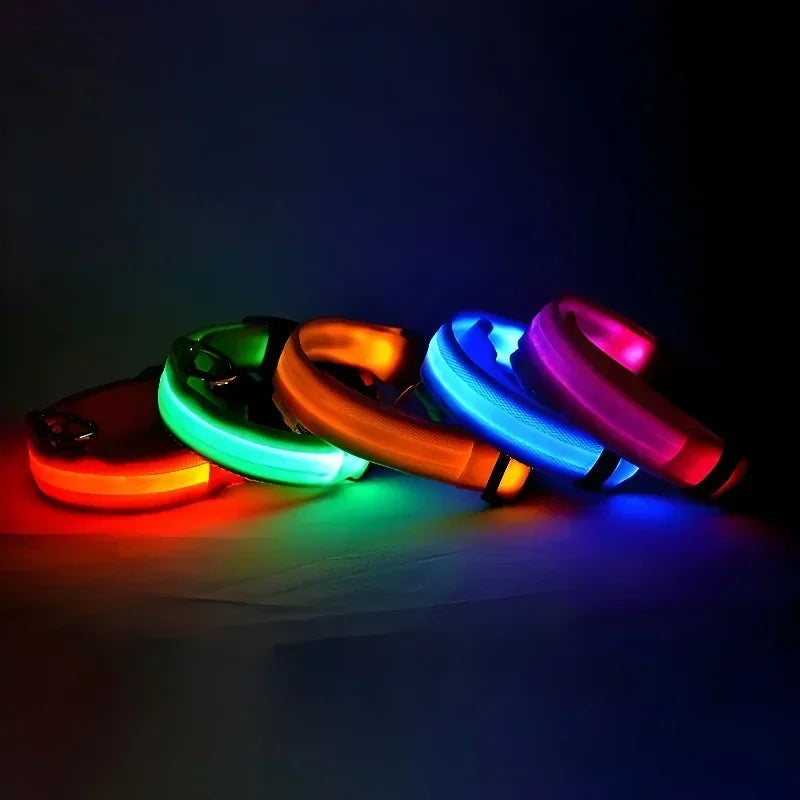 Collier LED Lumineux pour Chien – Sécurité Nocturne, Nylon, 5 Tailles
