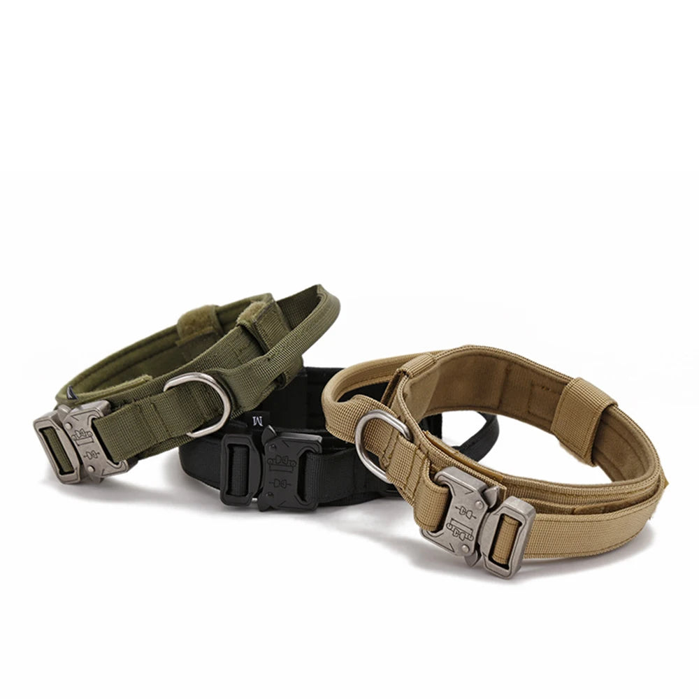 Ensemble Laisse & Collier Tactique pour Chien – Nylon Réfléchissant