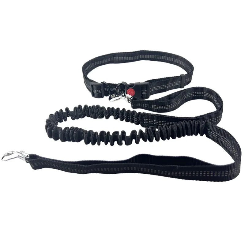Laisse Mains Libres pour Chien – Ceinture de Taille Réglable, Course & Jogging