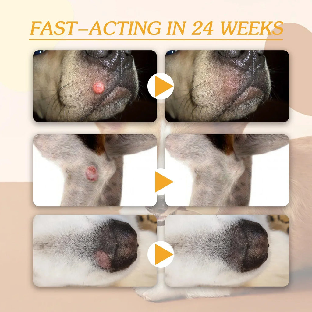 Crème Soin de la Peau pour Chien – Anti-Verrues & Papillomes, Formule Naturelle, 20 g