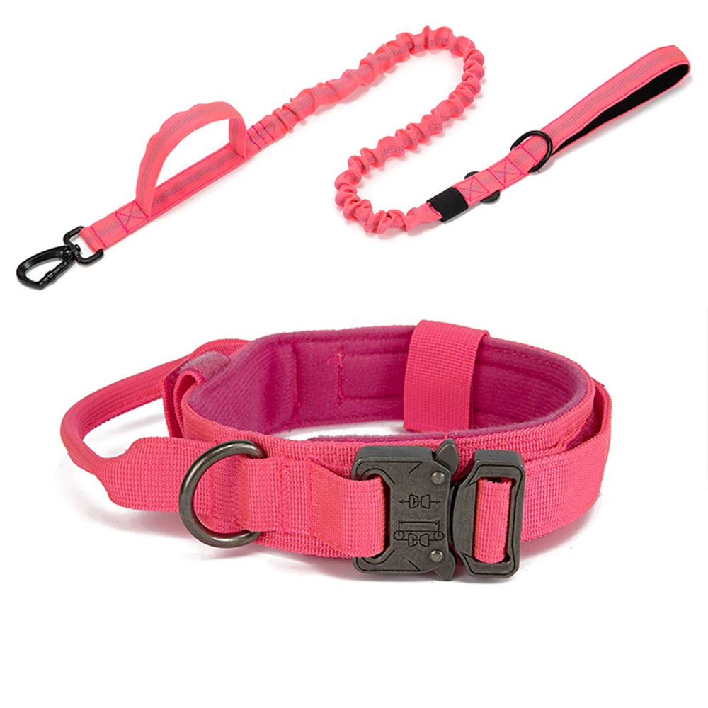 Ensemble Laisse & Collier Tactique pour Chien – Nylon Réfléchissant