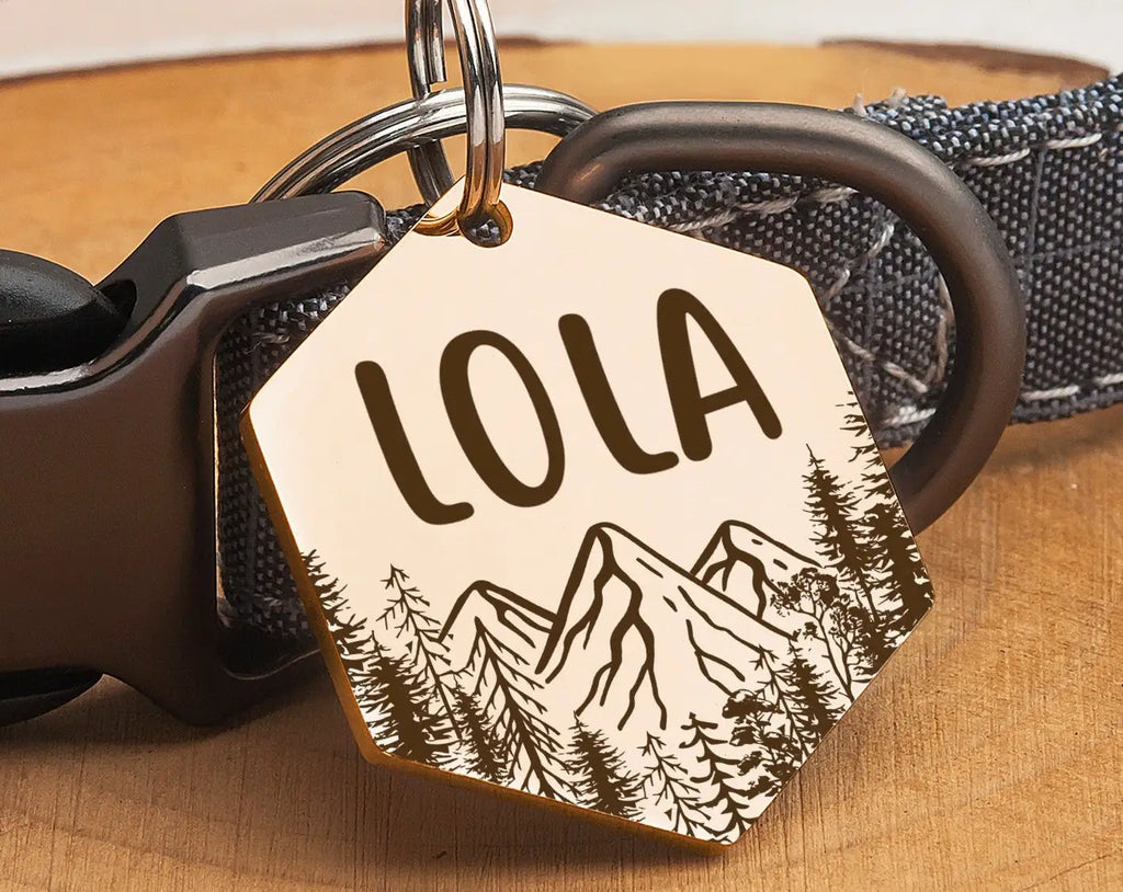 Médaille ID hexagonale personnalisée pour chien
