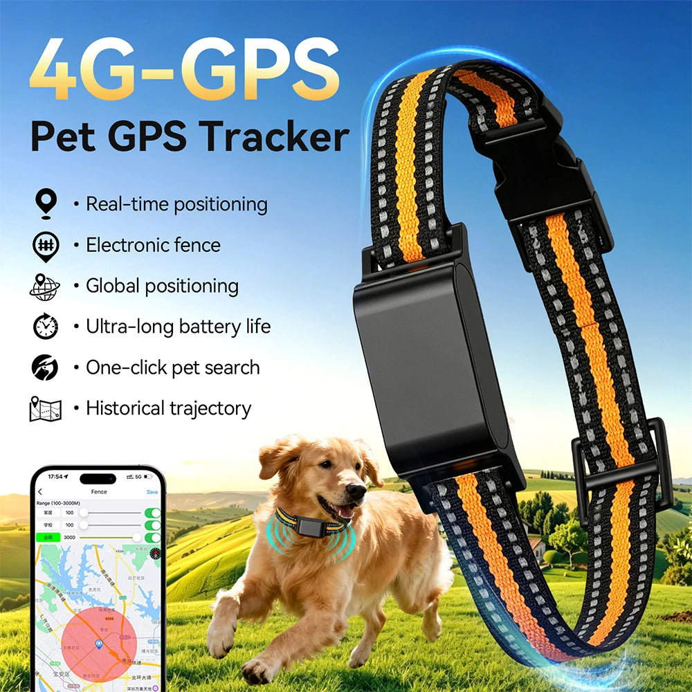 Collier GPS Étanche IP67 Sans Abonnement