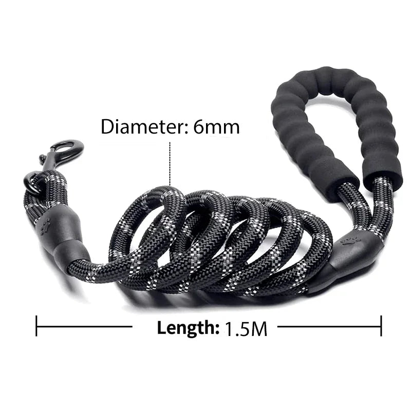 Laisse Réfléchissante pour Chien – Nylon Séparable, Toutes Tailles