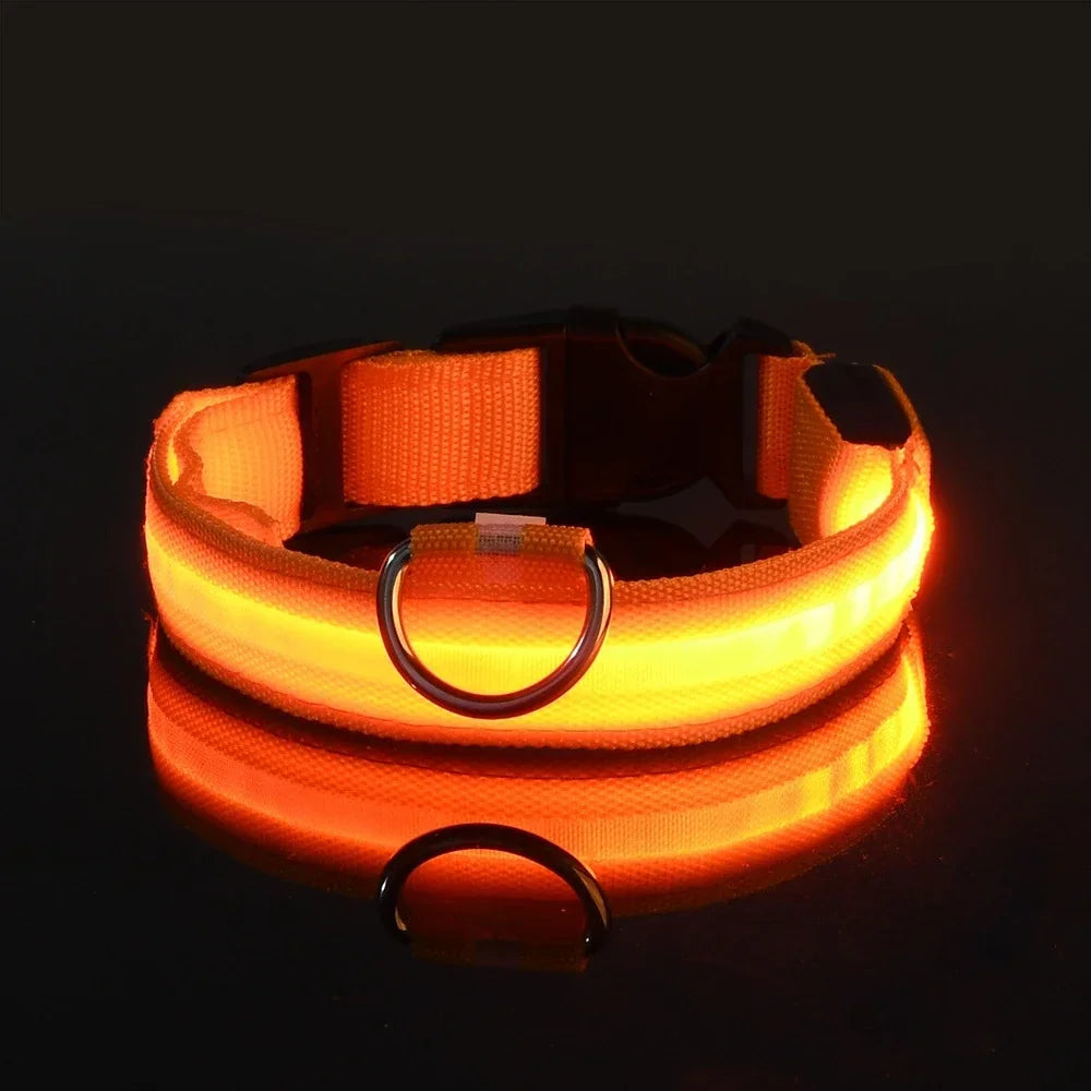Collier LED Lumineux pour Chien – Sécurité Nocturne, Nylon, 5 Tailles
