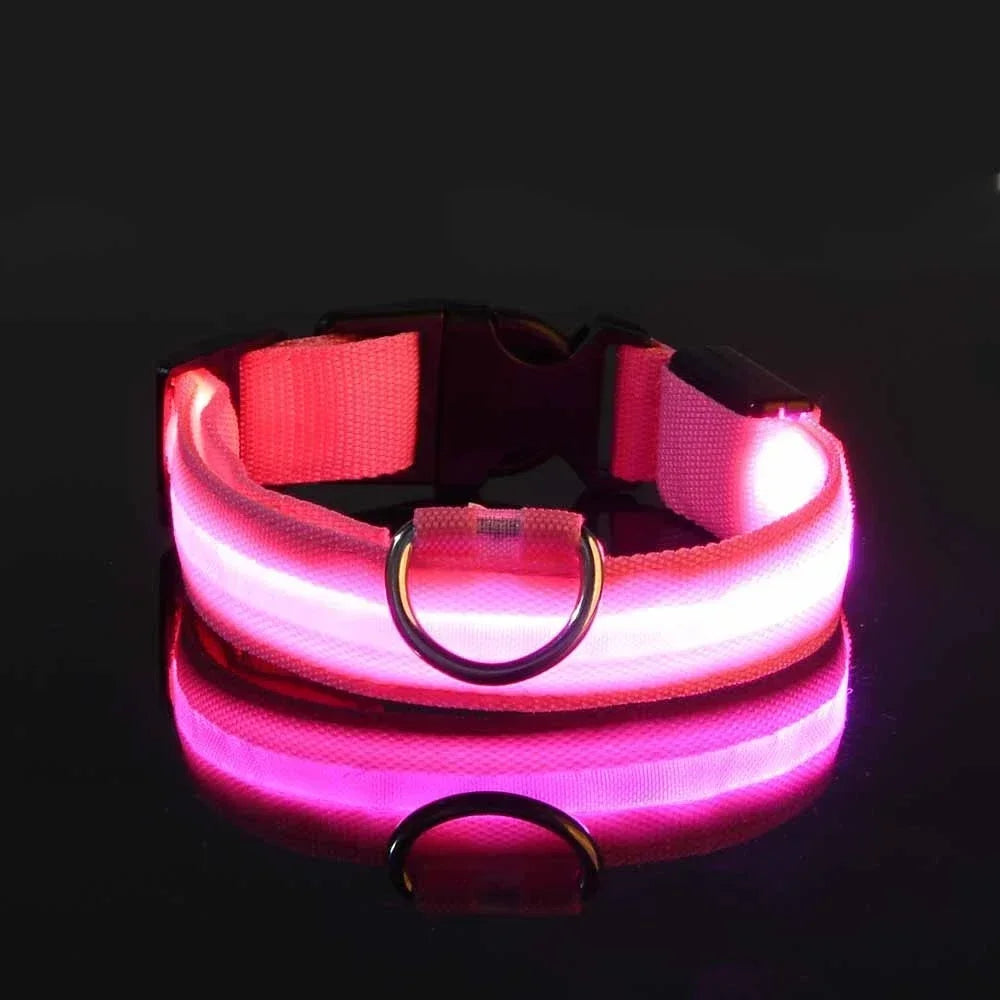 Collier LED Lumineux pour Chien – Sécurité Nocturne, Nylon, 5 Tailles