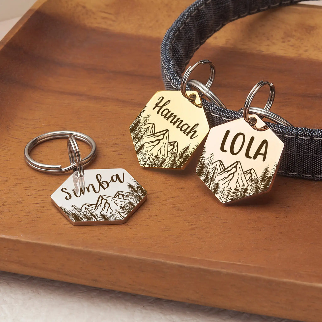 Médaille ID hexagonale personnalisée pour chien