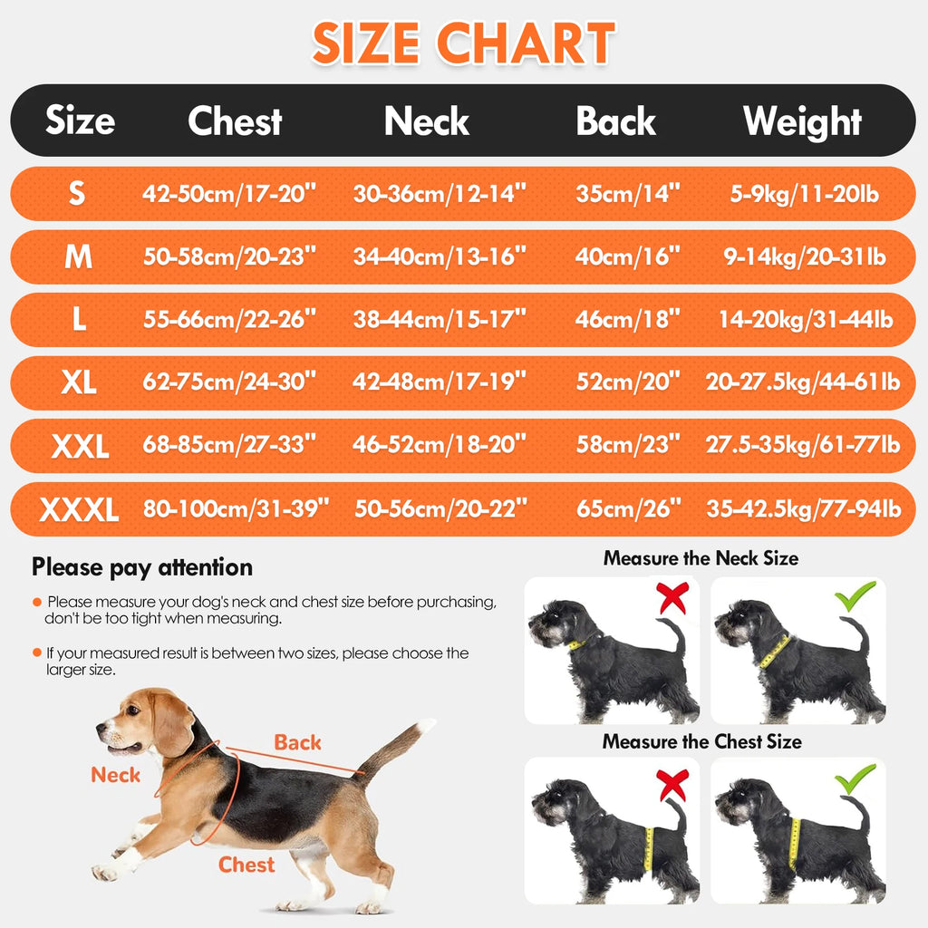 Gilet de Refroidissement pour Chien – Harnais Veste Fraîche avec Bouteille d'Eau Portable