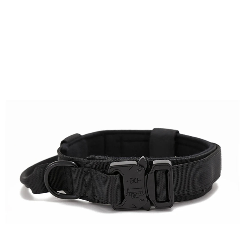 Ensemble Laisse & Collier Tactique pour Chien – Nylon Réfléchissant