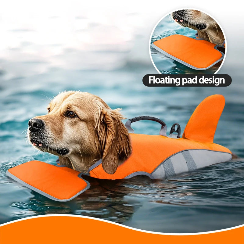 Gilet de Sauvetage Chien Aileron de Requin – Piscine, Plage & Kayak | S à XL