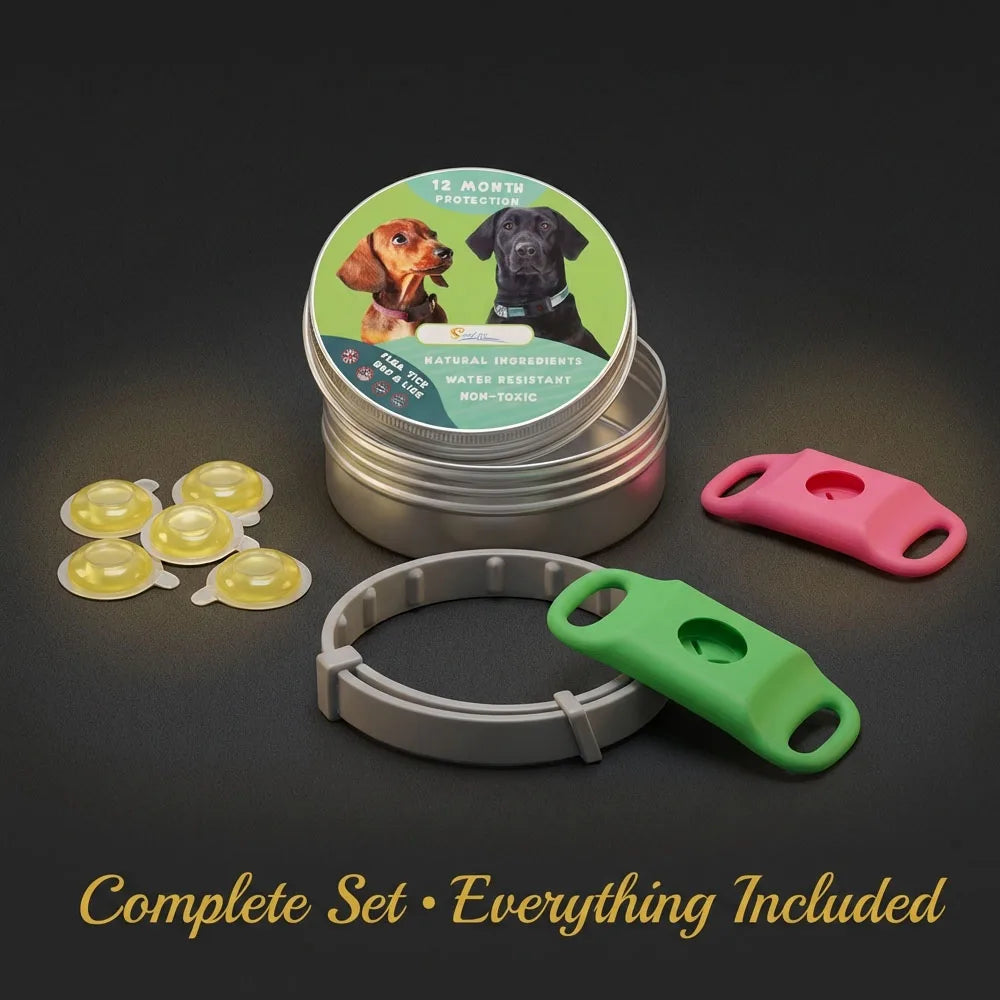 Collier Anti-Moustiques pour Chien – Pendentif + 3 Huiles Essentielles, Imperméable