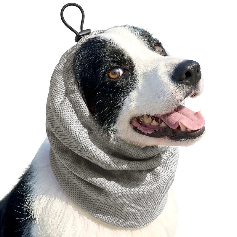 Bandana Rafraîchissant pour Chien – Protection Solaire, Réutilisable, S/M/L