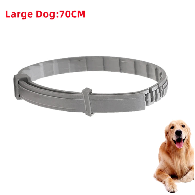 Collier Anti-Puces & Tiques Chien et Chat – Protection Naturelle 8 Mois, Citronnelle