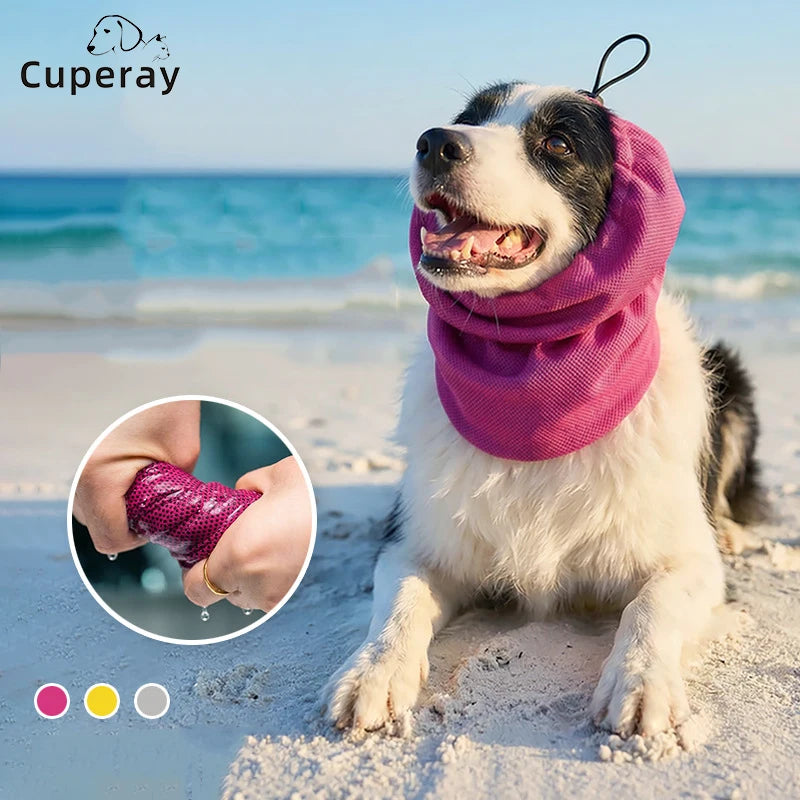 Bandana Rafraîchissant pour Chien – Protection Solaire, Réutilisable, S/M/L