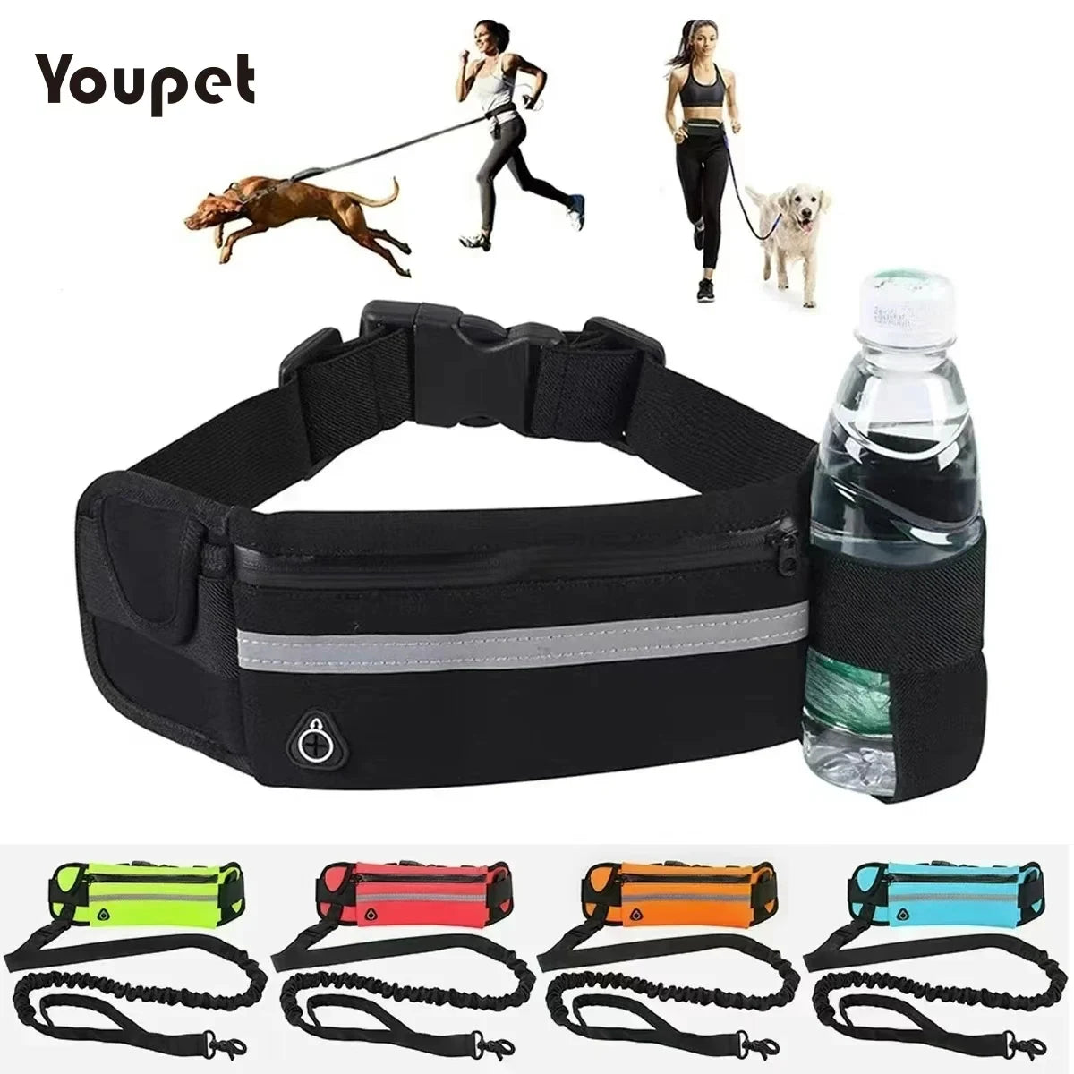 Laisse Mains Libres pour Chien – Ceinture Élastique Réfléchissante, Nylon
