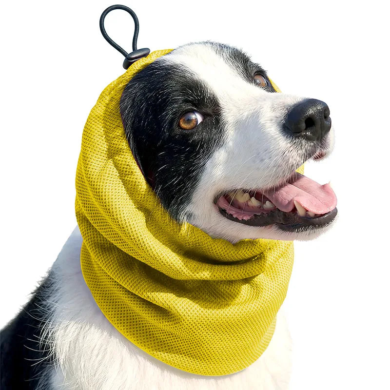 Bandana Rafraîchissant pour Chien – Protection Solaire, Réutilisable, S/M/L