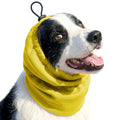 Bandana Rafraîchissant pour Chien – Protection Solaire, Réutilisable, S/M/L