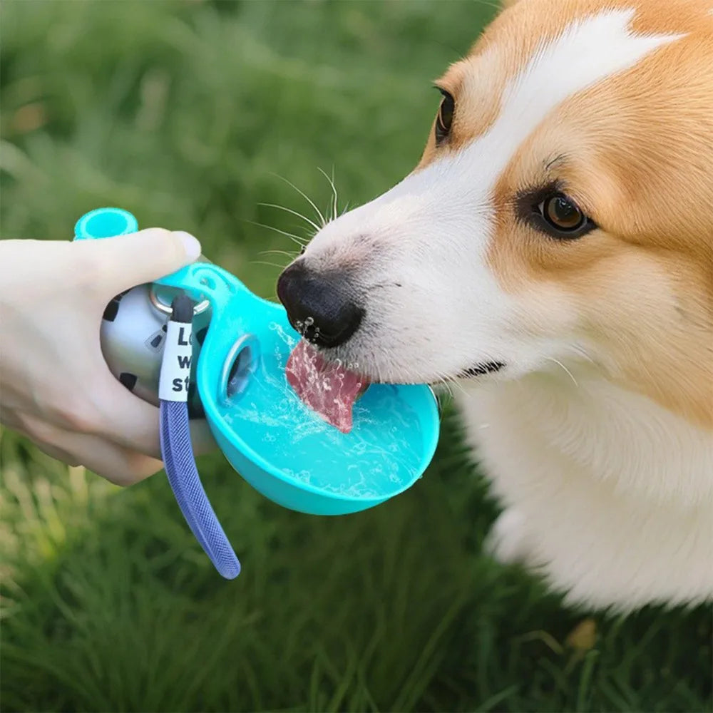 Bouteille d'eau pour chien – Bol en silicone & acier inoxydable 285 ml, anti-fuite