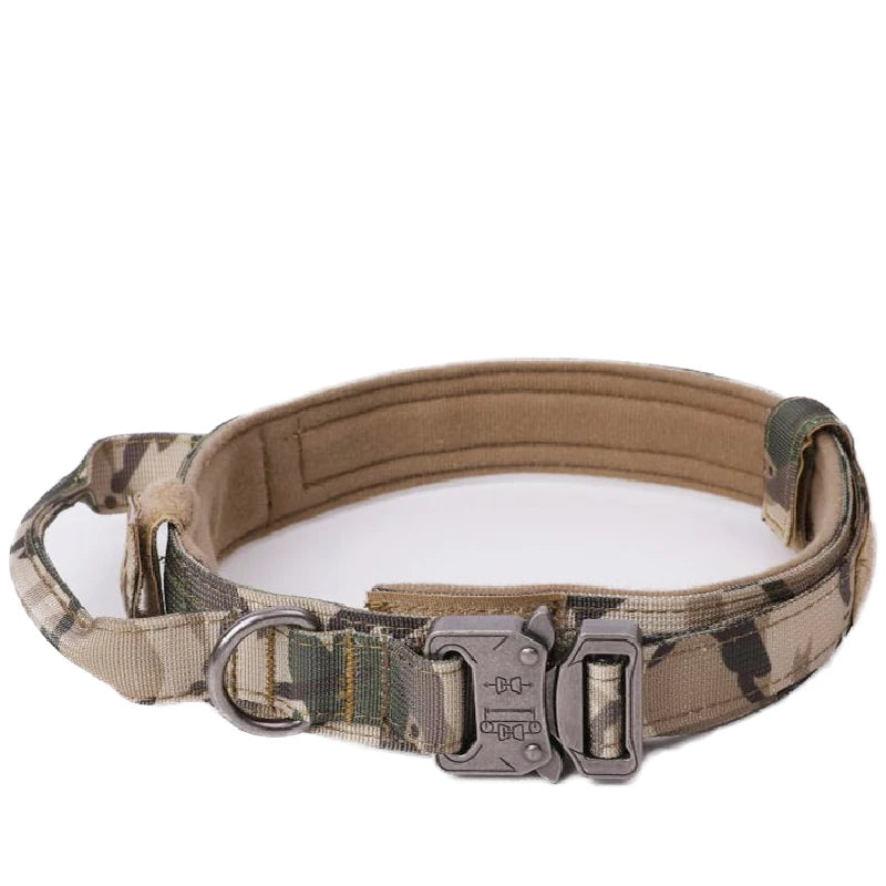 Ensemble Laisse & Collier Tactique pour Chien – Nylon Réfléchissant