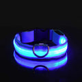 Collier LED Lumineux pour Chien – Sécurité Nocturne, Nylon, 5 Tailles