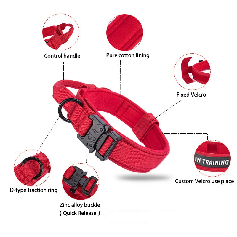 Ensemble Laisse & Collier Tactique pour Chien – Nylon Réfléchissant