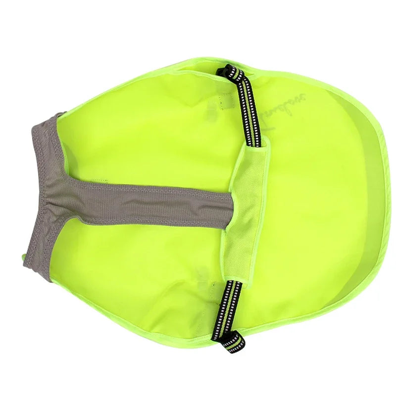 Veste d'été impérméable pour chien Truelove – Réfléchissante & Respirante