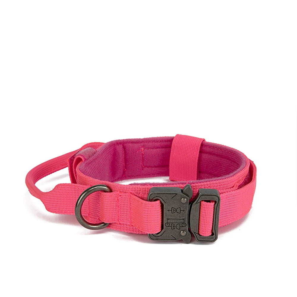 Ensemble Laisse & Collier Tactique pour Chien – Nylon Réfléchissant