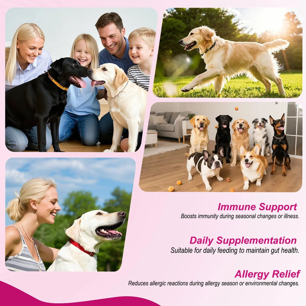 Probiotiques pour Chien – 180 Comprimés à Mâcher, Flore Intestinale & Immunité