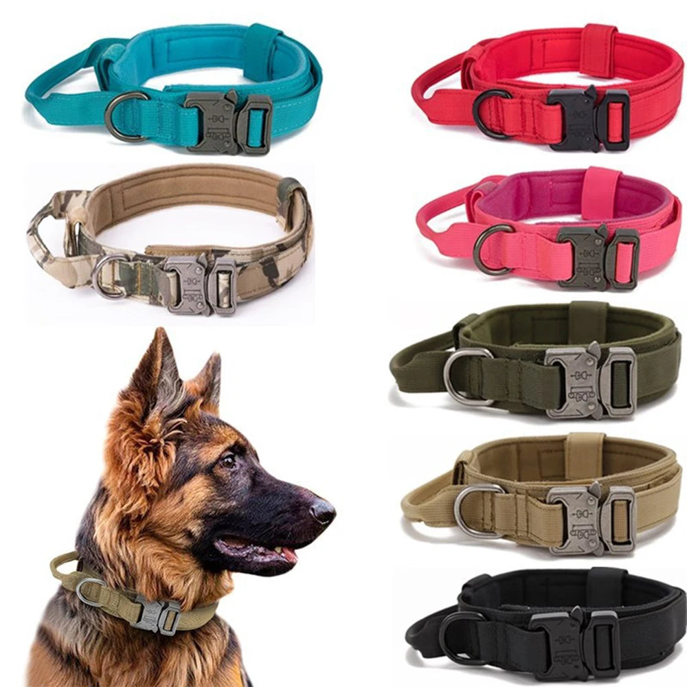 Ensemble Laisse & Collier Tactique pour Chien – Nylon Réfléchissant