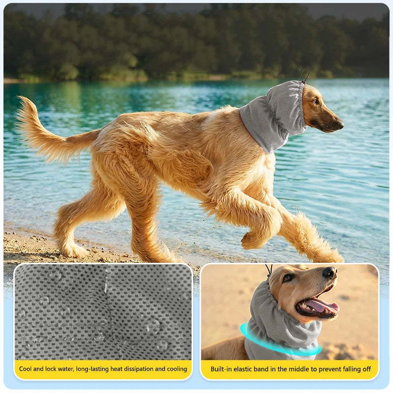 Bandana Rafraîchissant pour Chien – Protection Solaire, Réutilisable, S/M/L